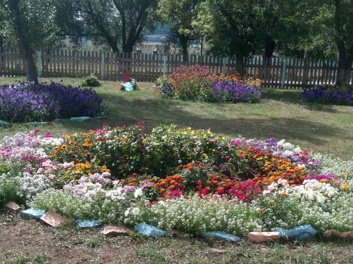 Пришкольный участок